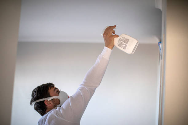 Best Attic Mold Removal  in Colchester, IL