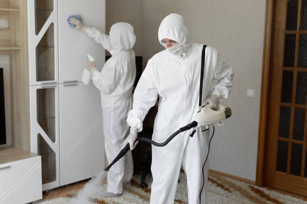 Best Affordable Mold Removal  in Colchester, IL